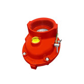 شیرحساس به زلزله The lion is sensitive to earthquakes